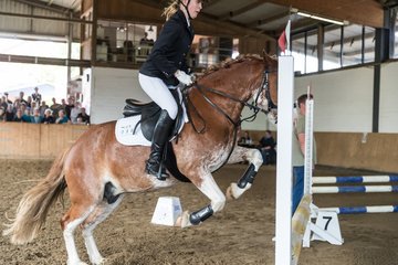 Bild 41 - Pony Akademie Turnier